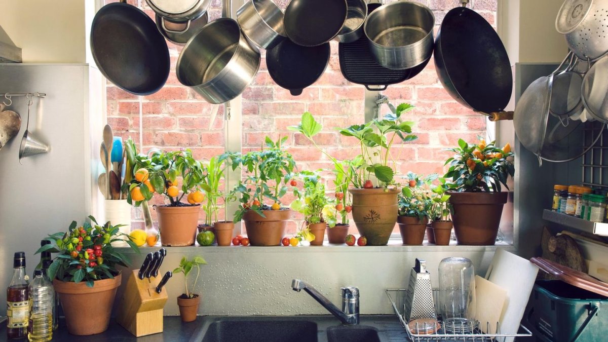 Вертикальная грядка на кухне