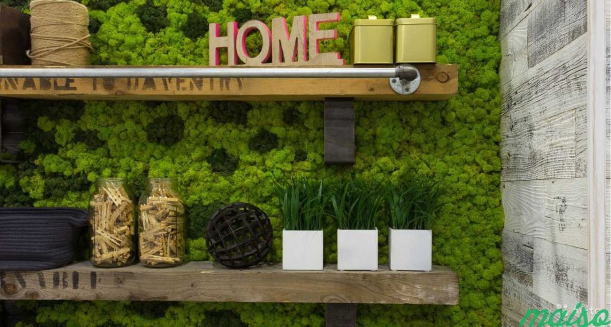 Фитомодуль икеа