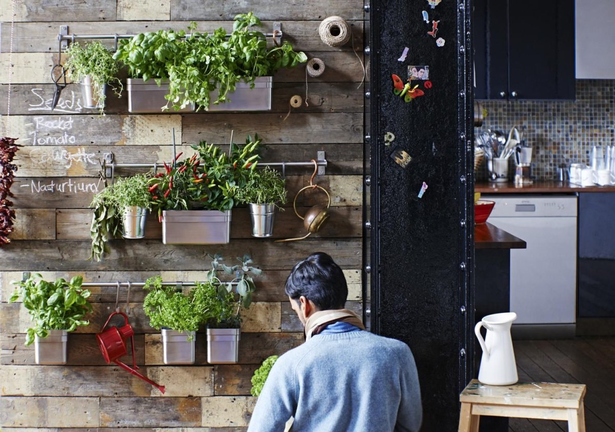 Декоративные растения на кухне