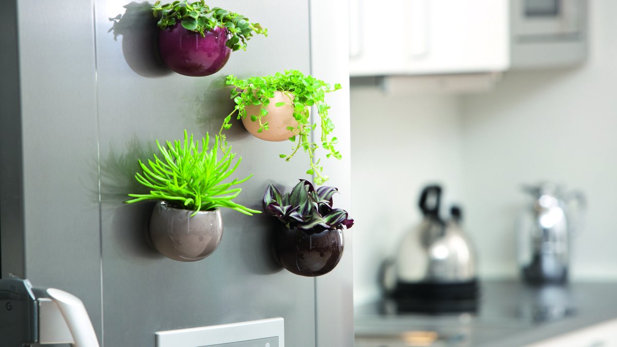 Синие открытые полочки на кухне