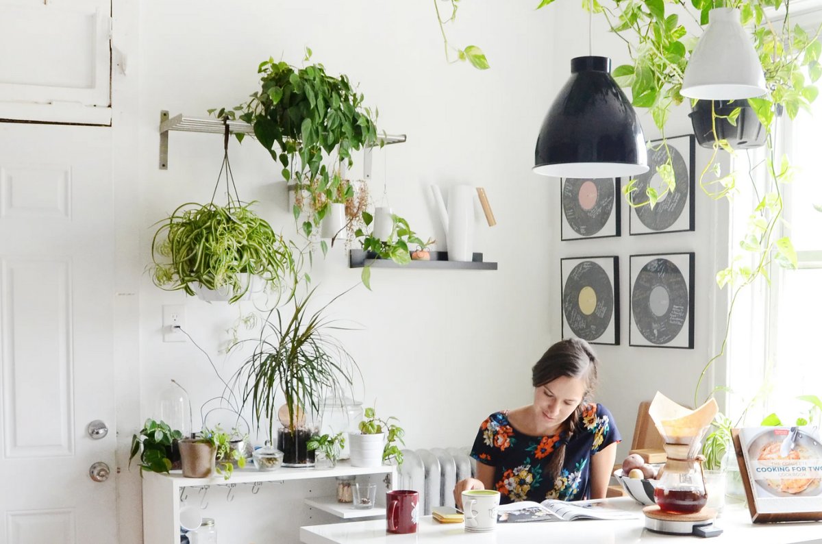 Живые цветы в интерьере кухни