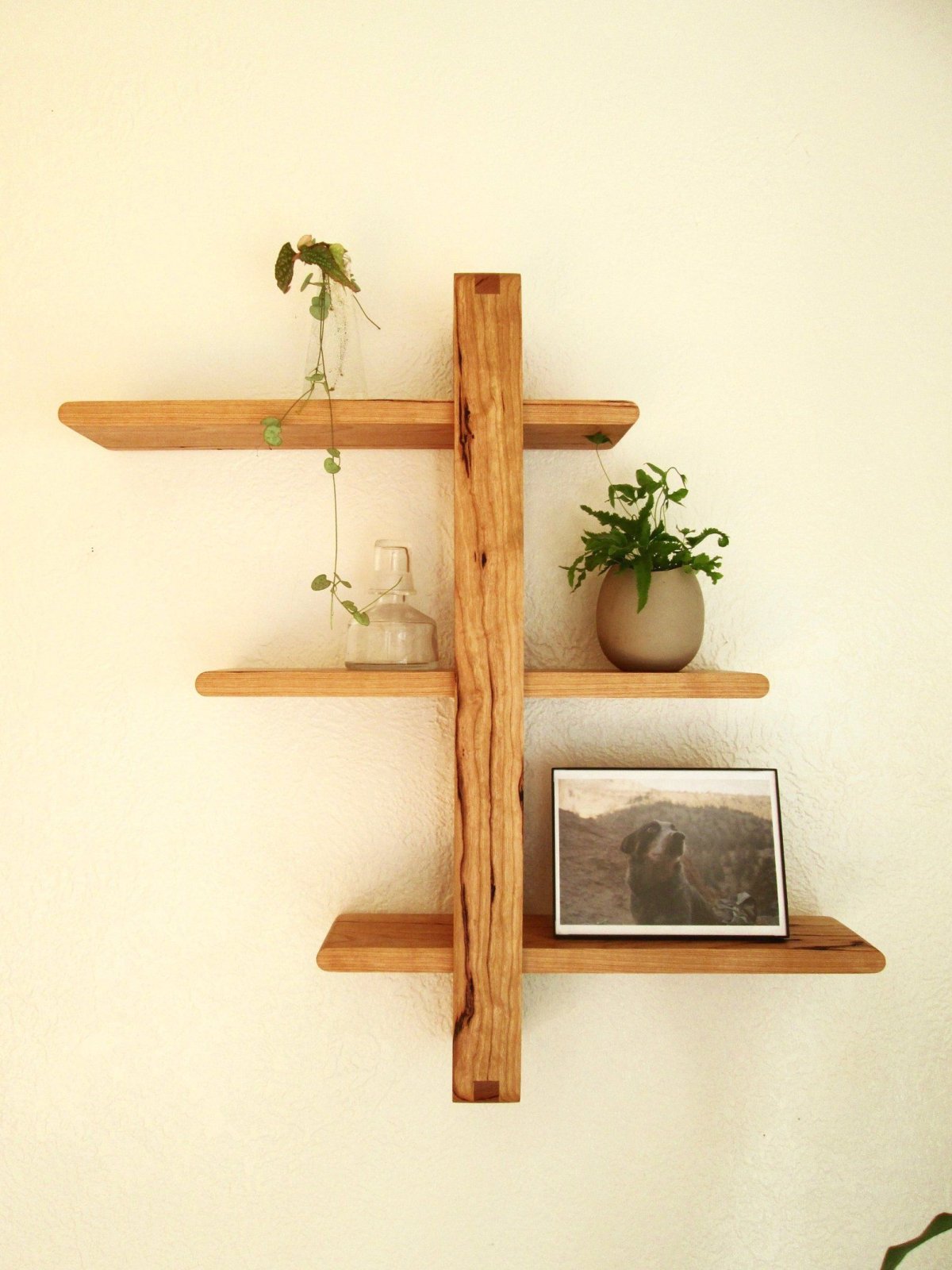 Креативные полки для цветов