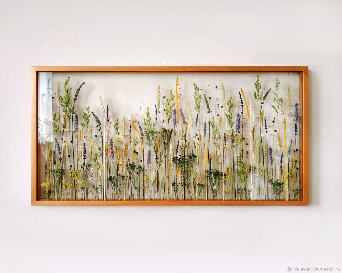 Картины из сухих растений гербарий