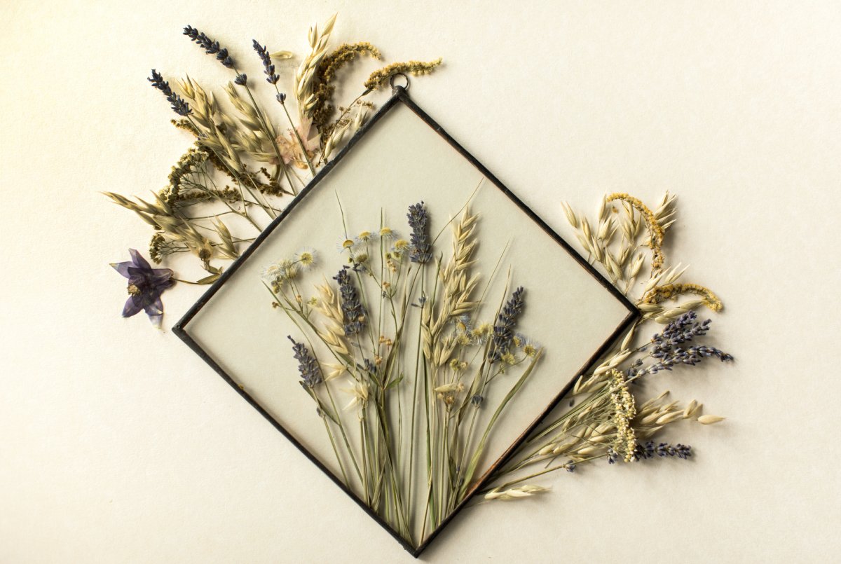 Панно из сухих цветов