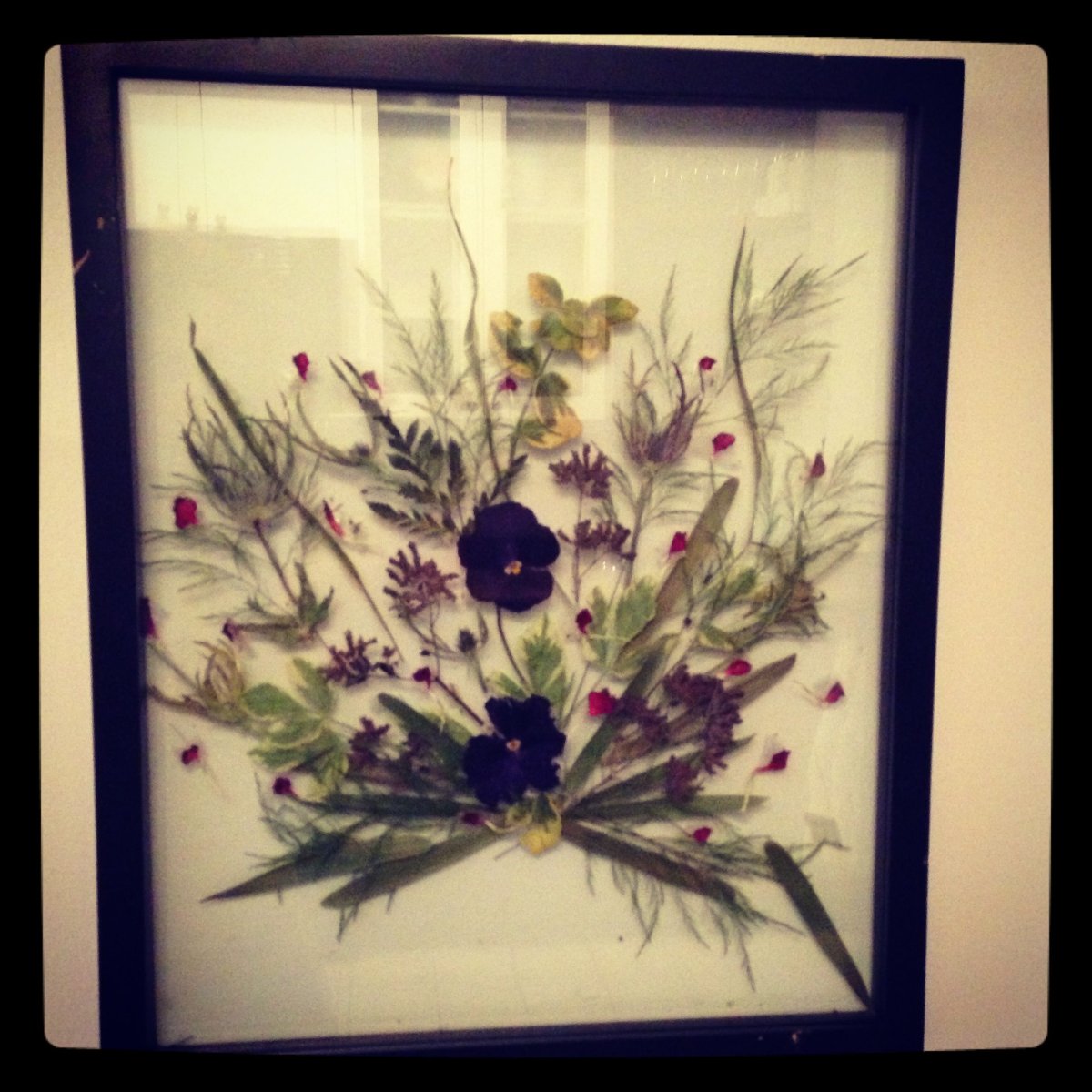 Панно из засушенных растений