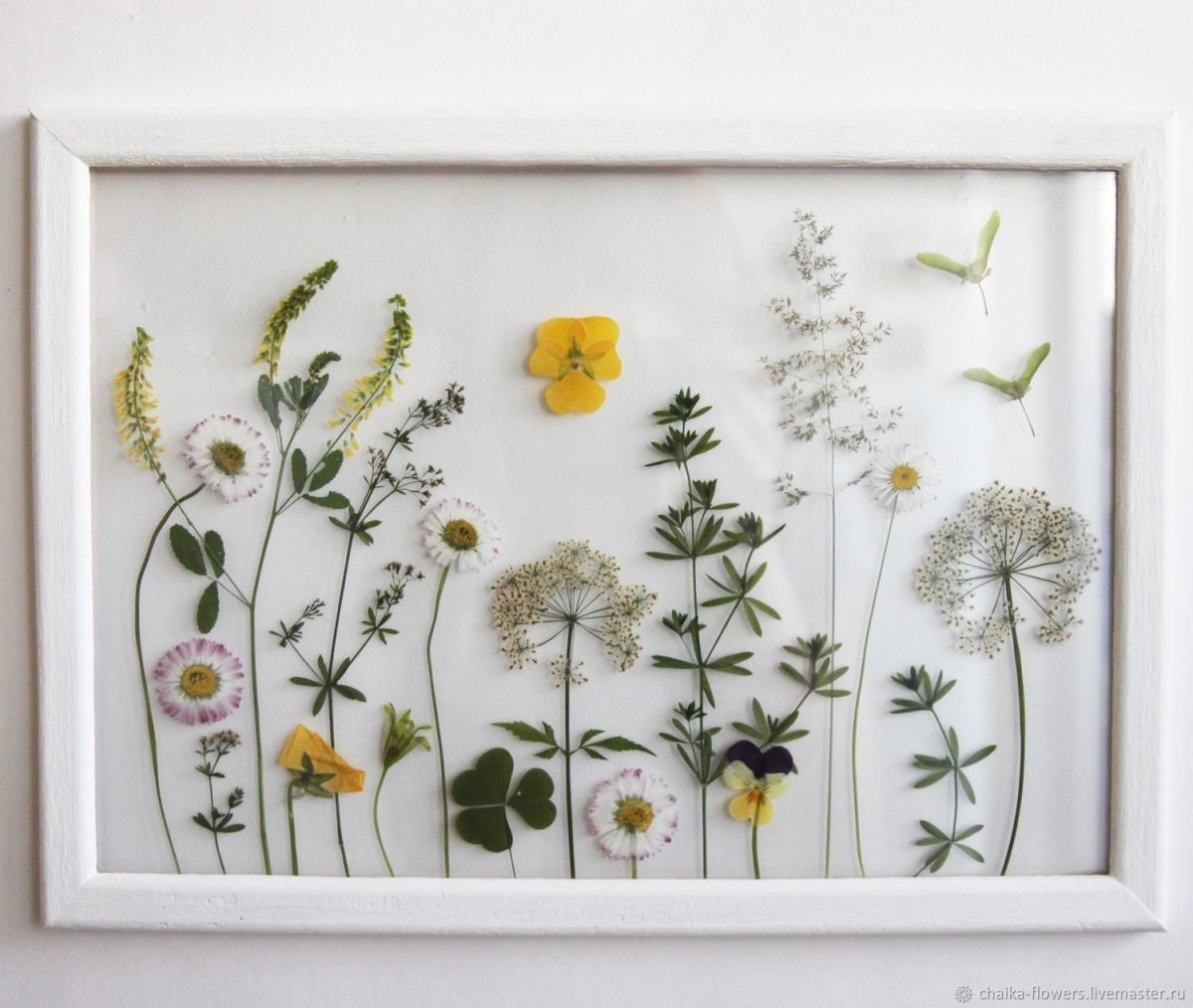 Открытки из сухоцветов