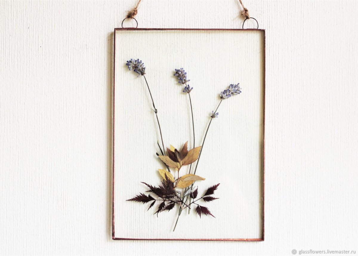 Катрина гербарий