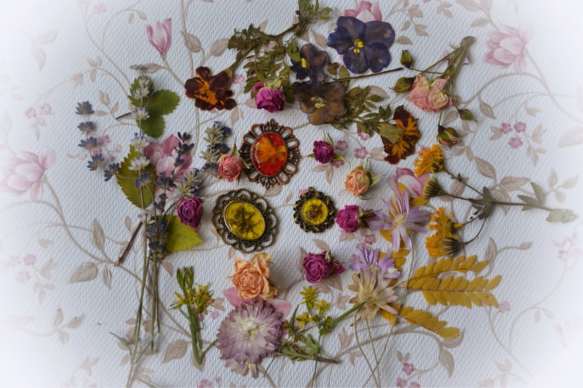 Гербарий под стеклом