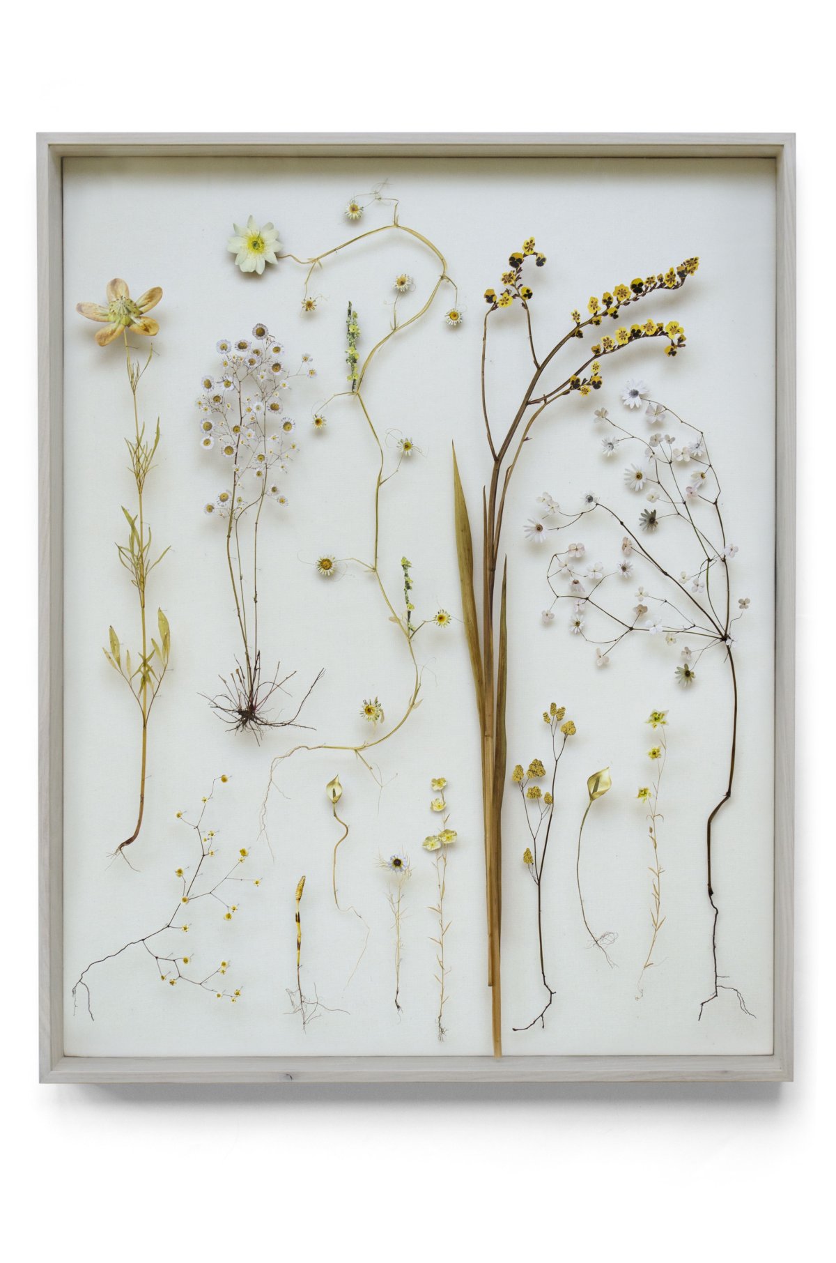 Картина с сухоцветами