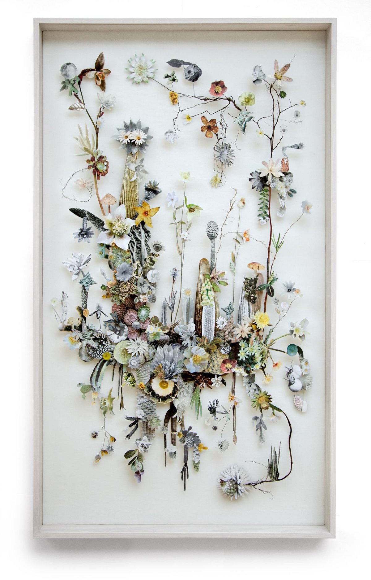 Цветы гербарий