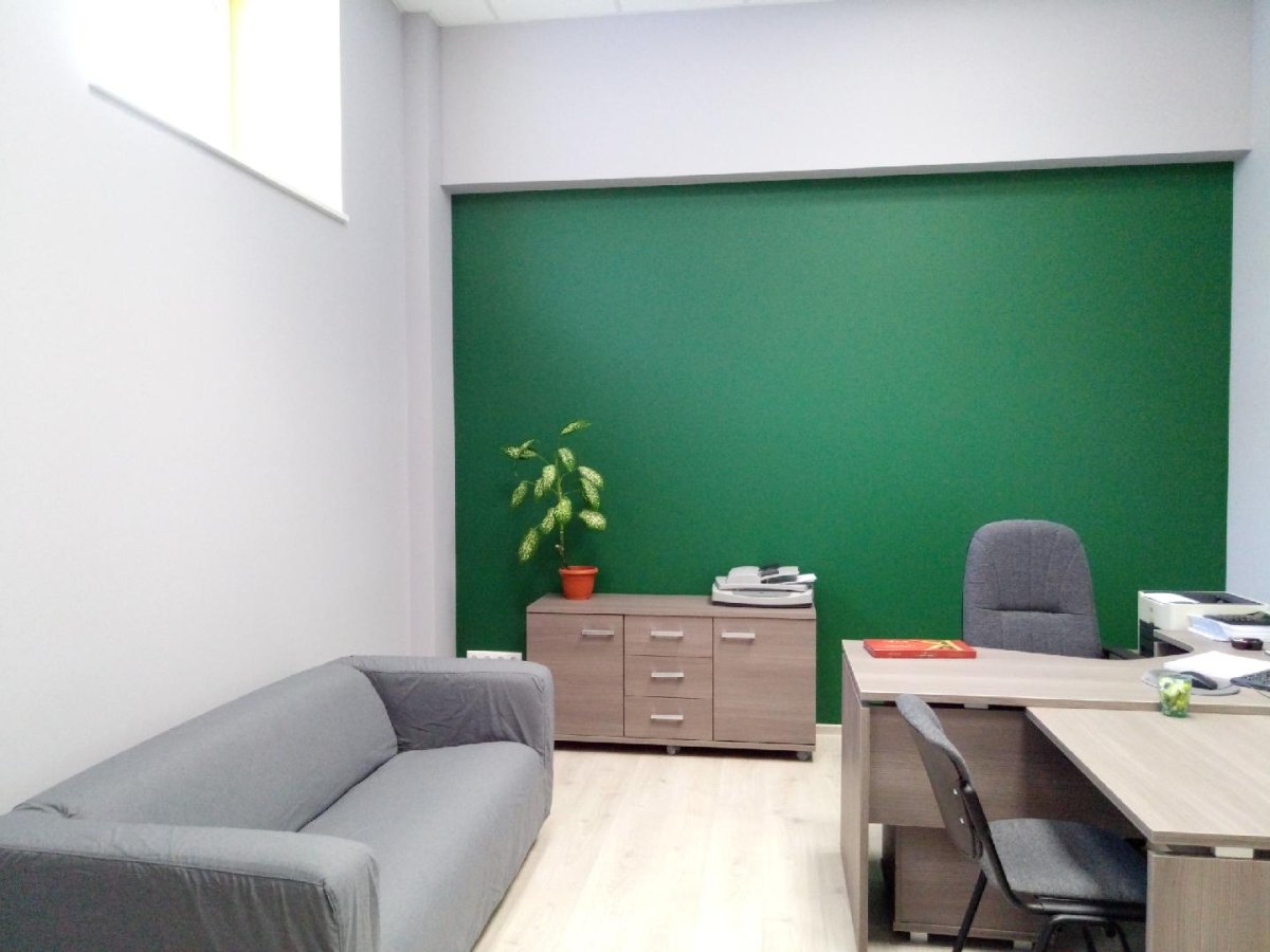 Зеленый цвет стен в офисе