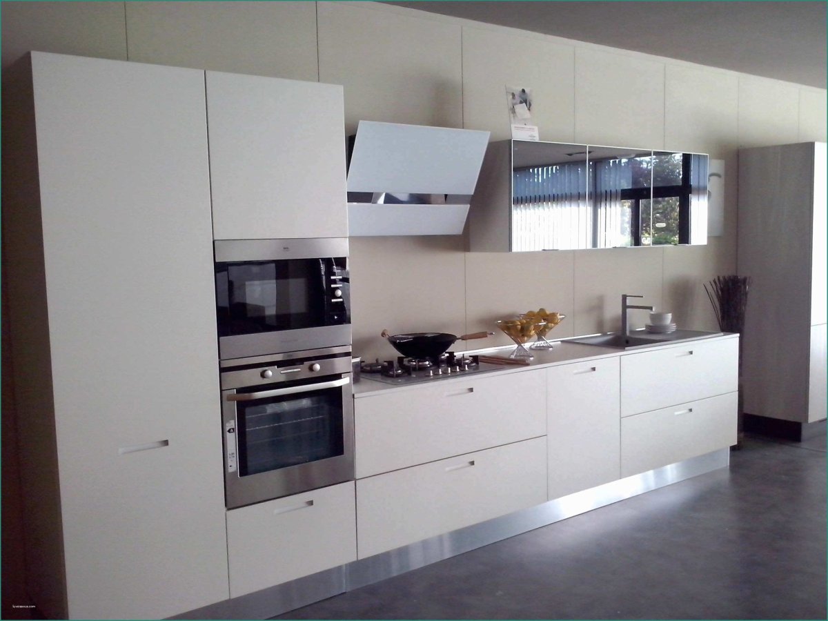 Леда белая Леруа Мерлен