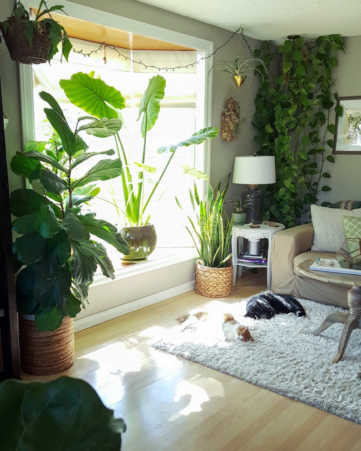 Растения в интерьере спальни