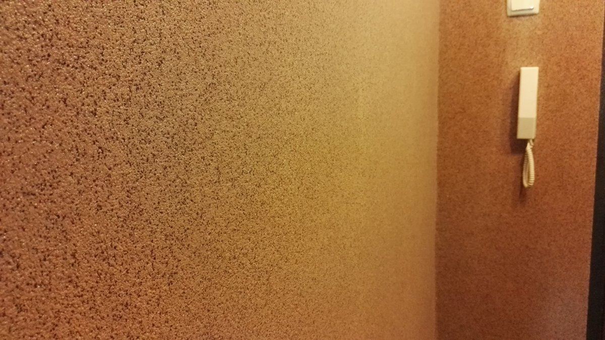 Байрамикс короед