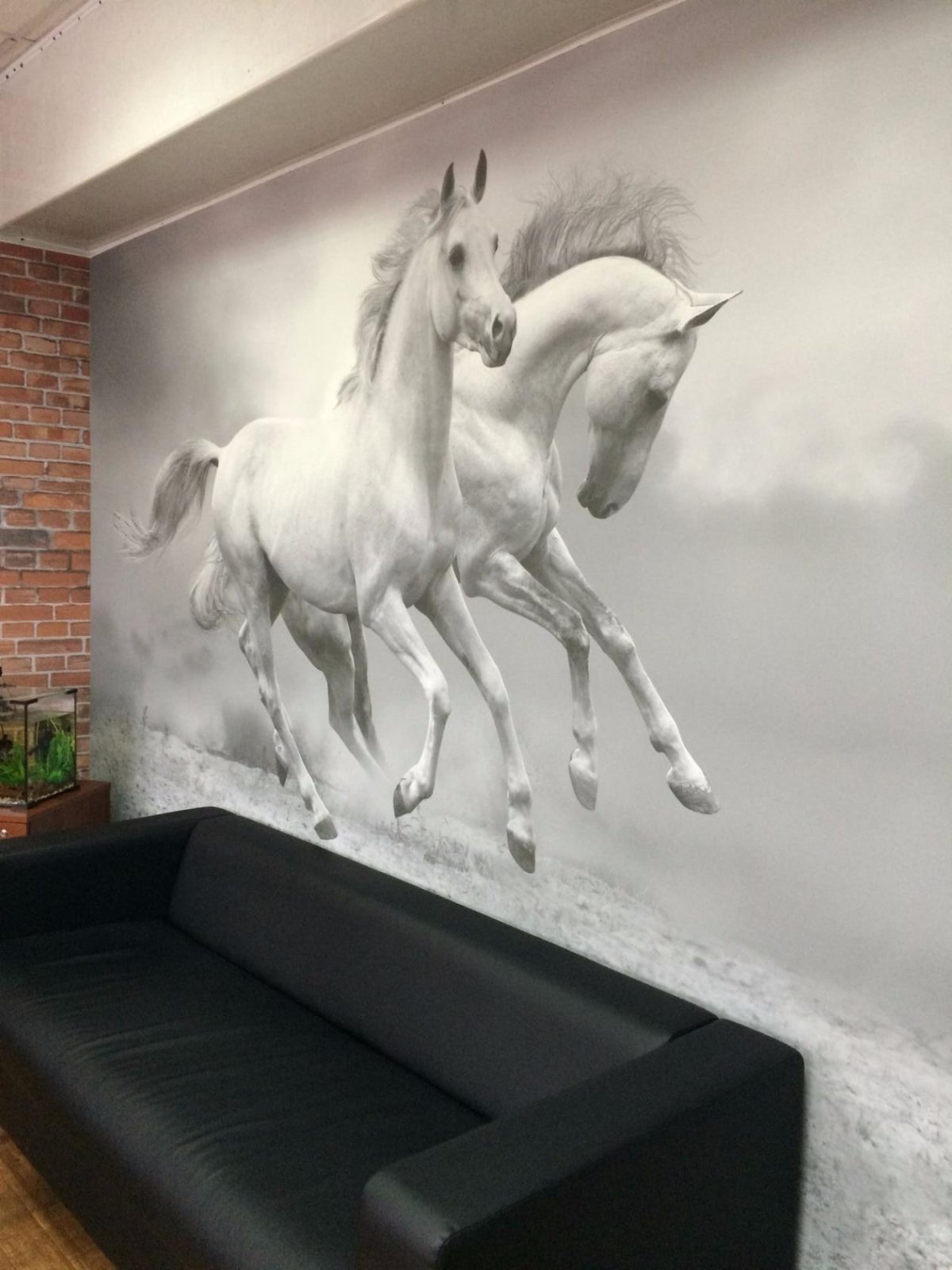 Натяжные стены с фотопечатью