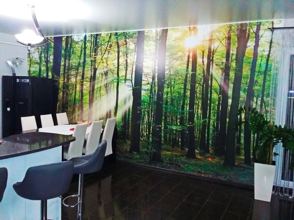 Натяжные стены с фотопечатью каталог фото