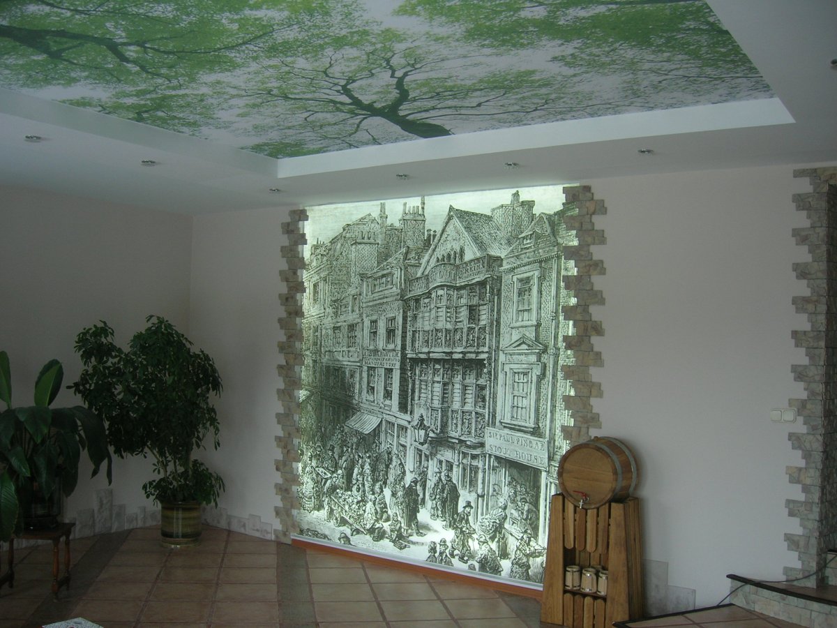 Натяжные стены с фотопечатью