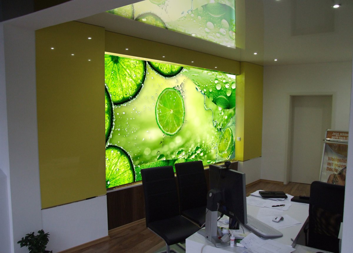 Натяжные обои на стену с животными