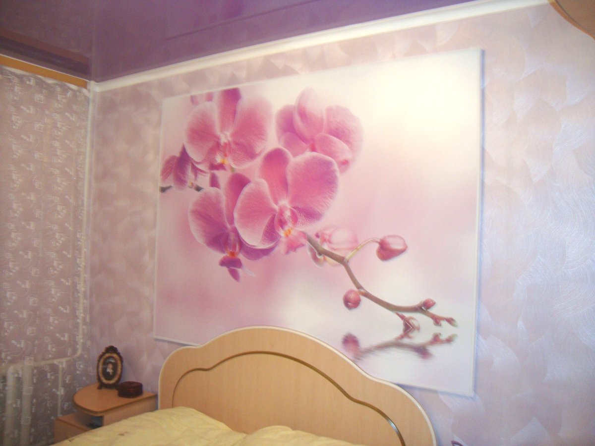 Натяжные стены с фотопечатью