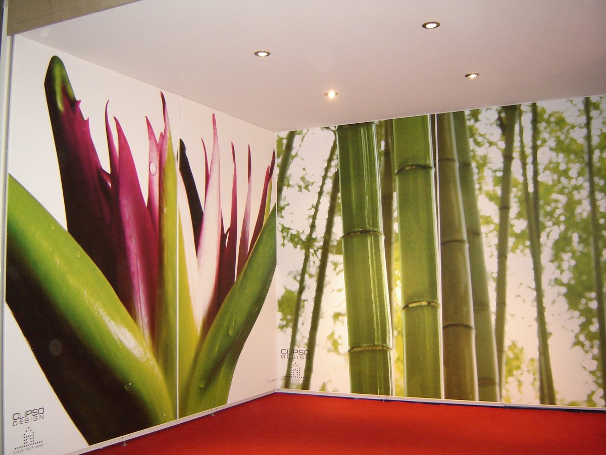 Натяжные стены с фотопечатью