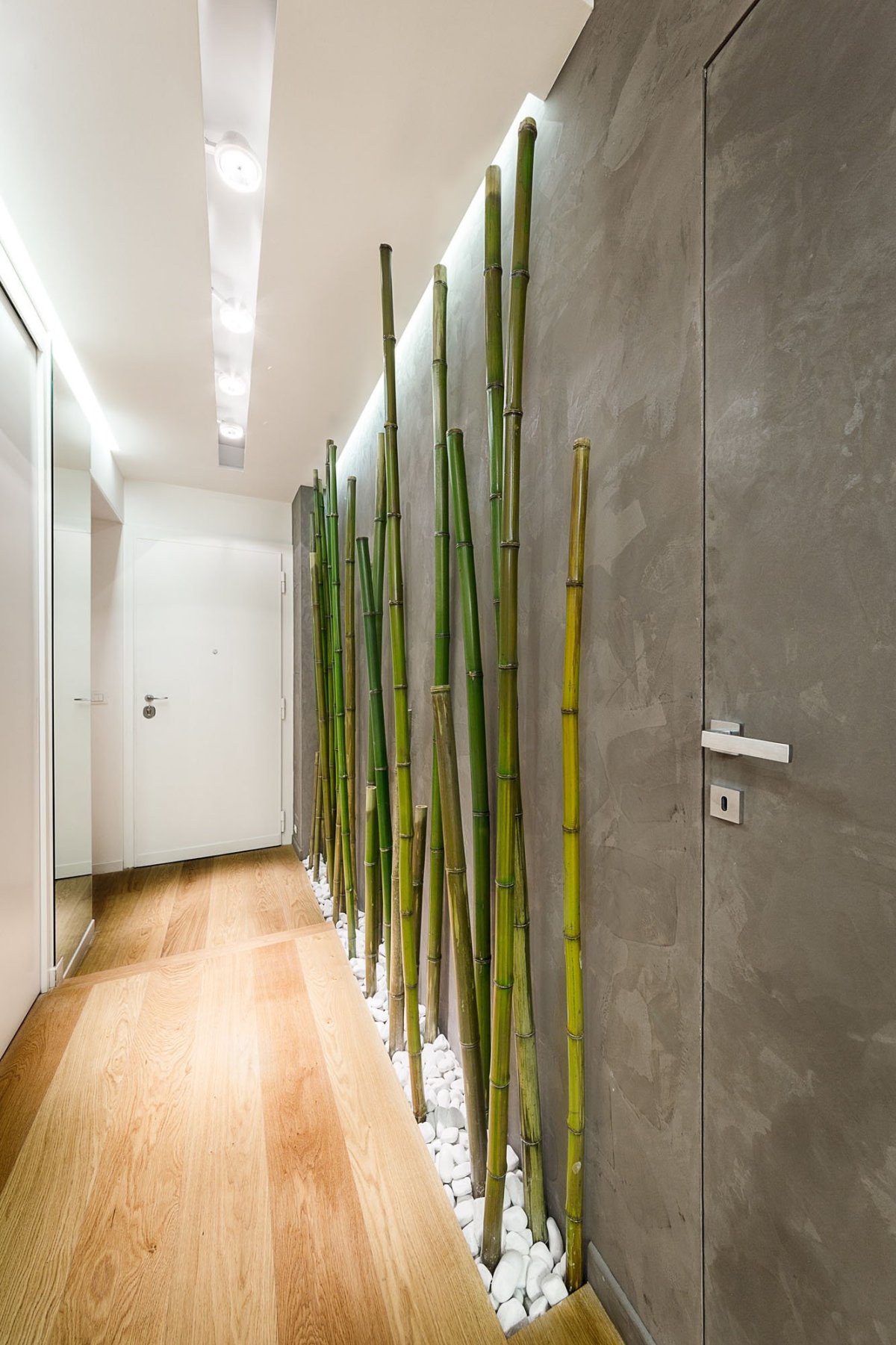 Красивые комнатные растения для интерьера