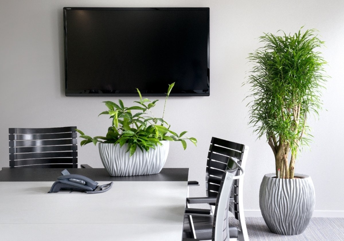 Бамбук обои 4к