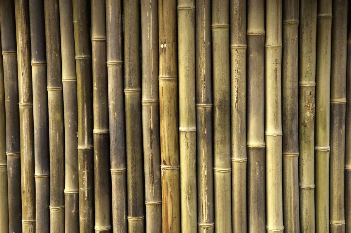 Изгородь бамбук Леруа Мерлен