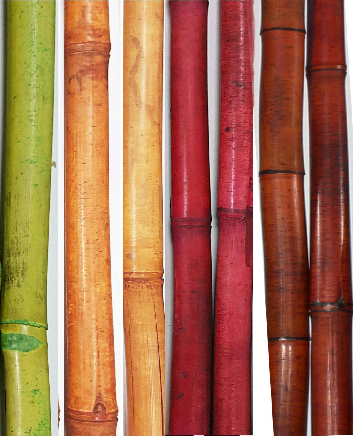 Бамбук на стене