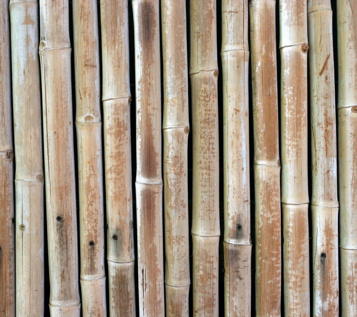 Обои бамбук натуральный текстура