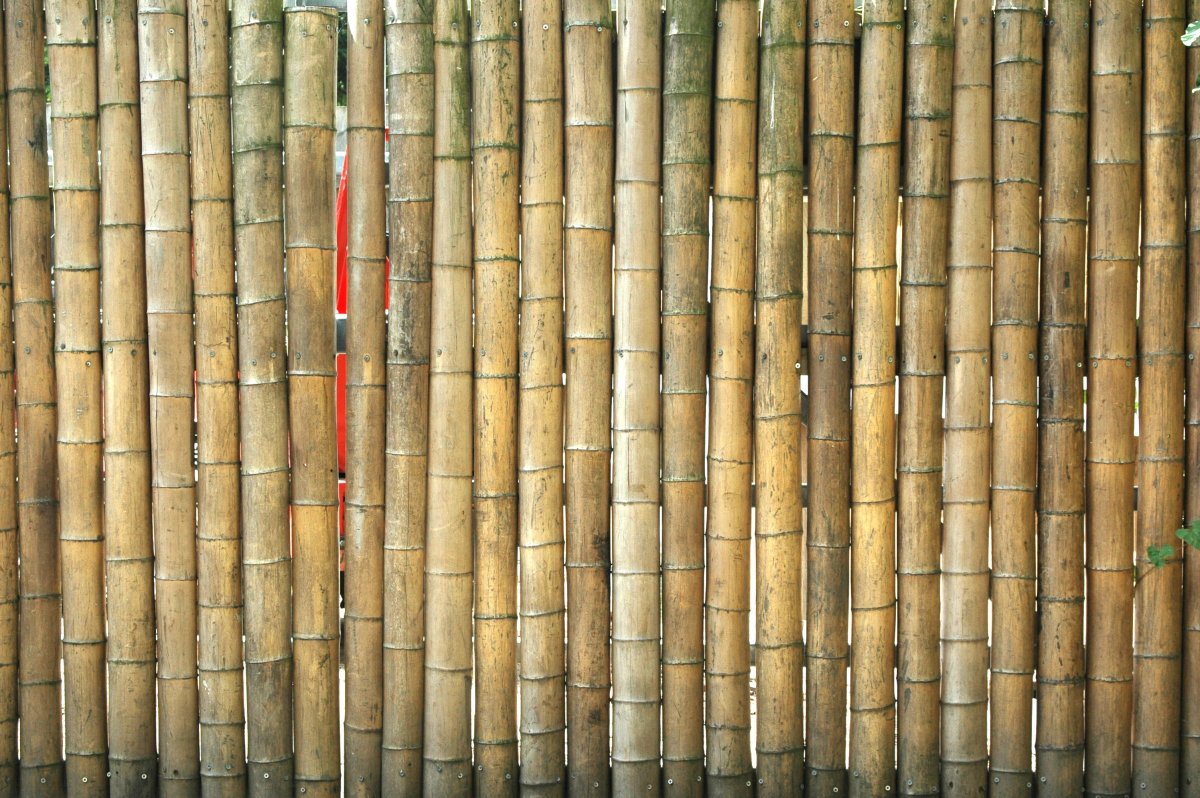 Изгородь бамбук Леруа Мерлен