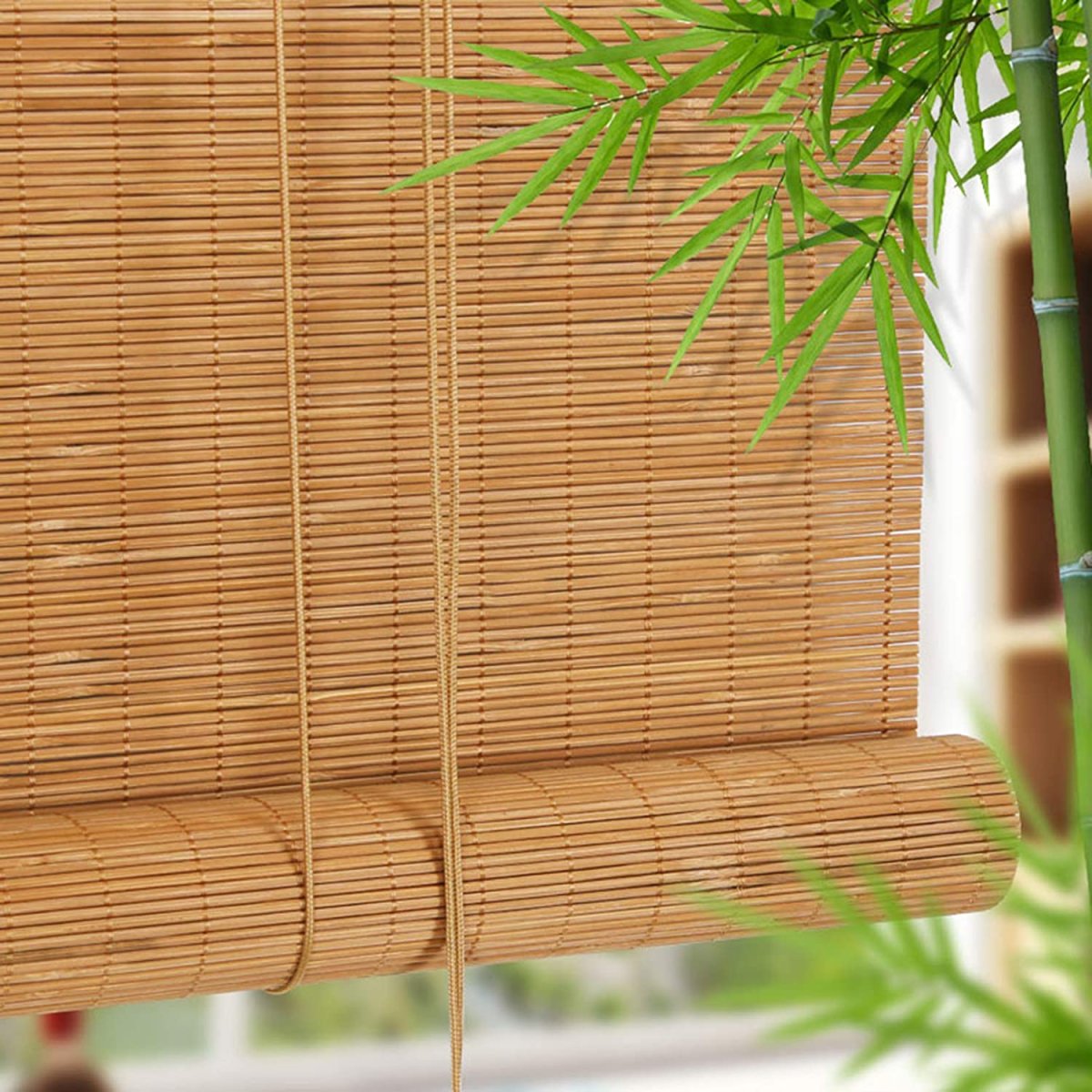 Moso Bamboo Solid Panels