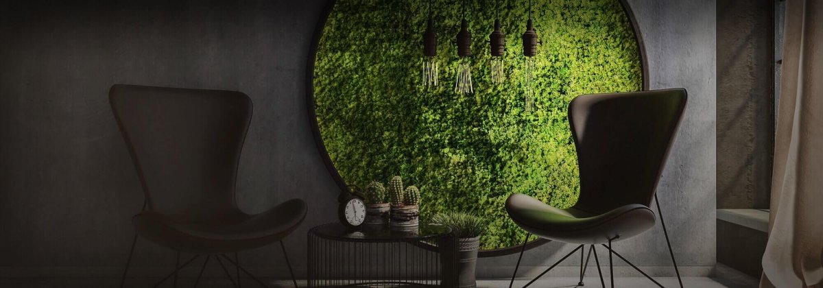 Мох в декоре интерьера