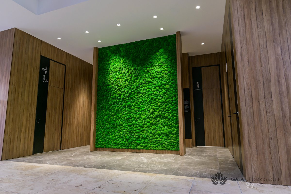 Рейки и мох в интерьере