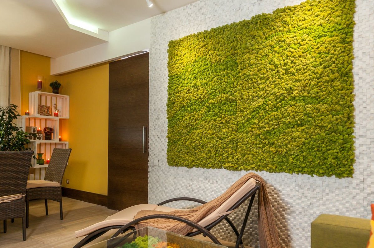 Мох ягель на стене