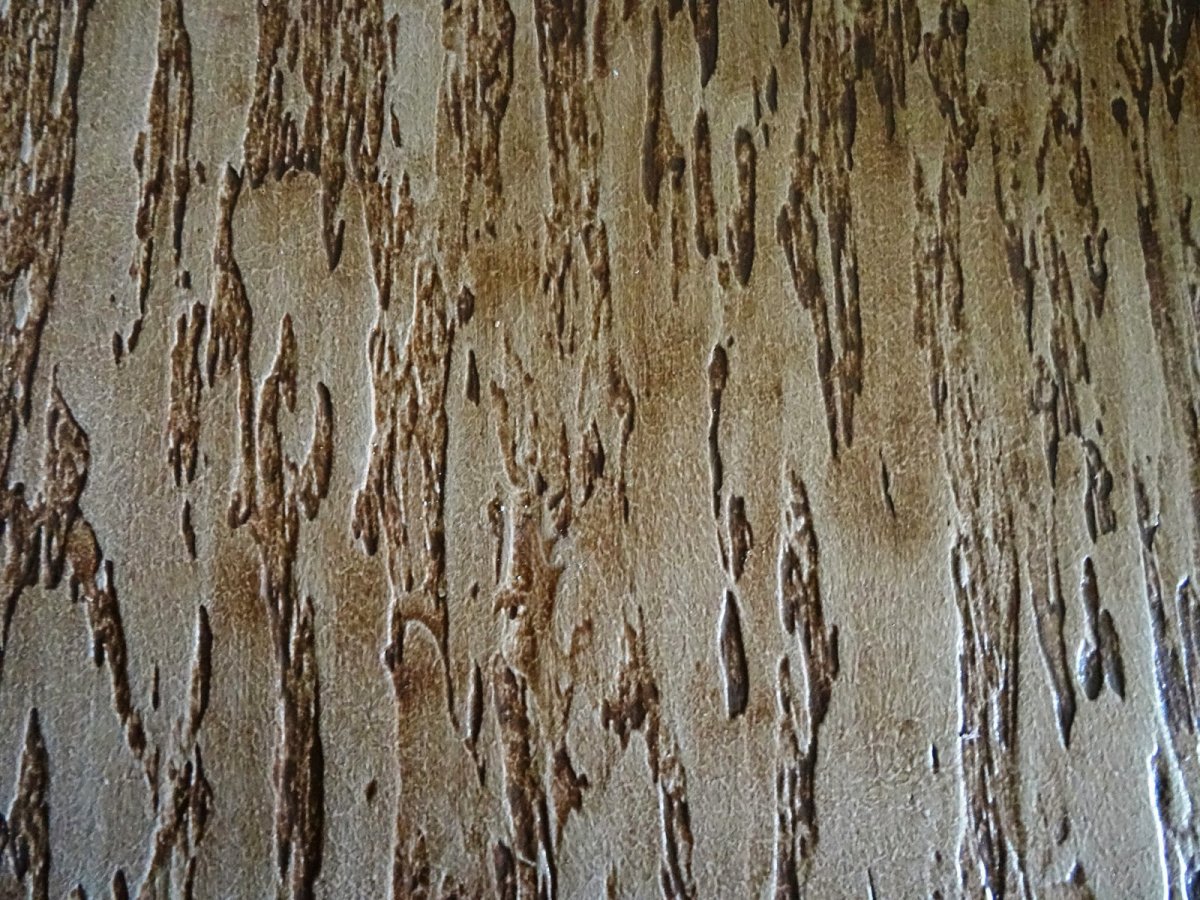 Декоративная штукатурка кора дерева