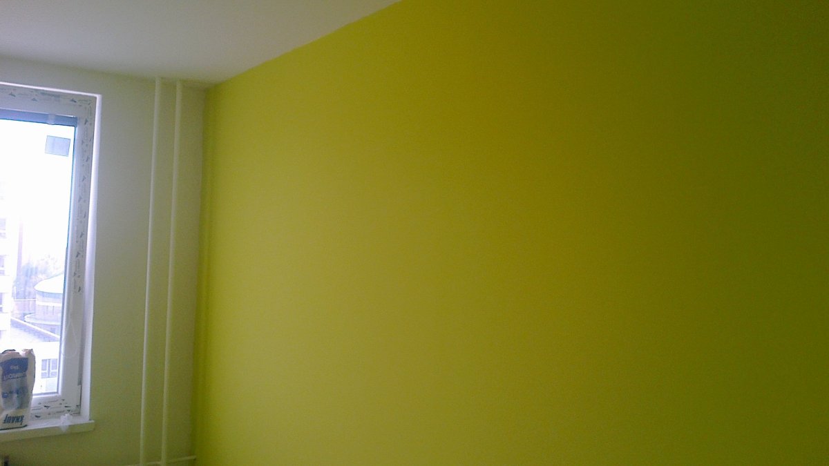 Dulux зеленая Орхидея