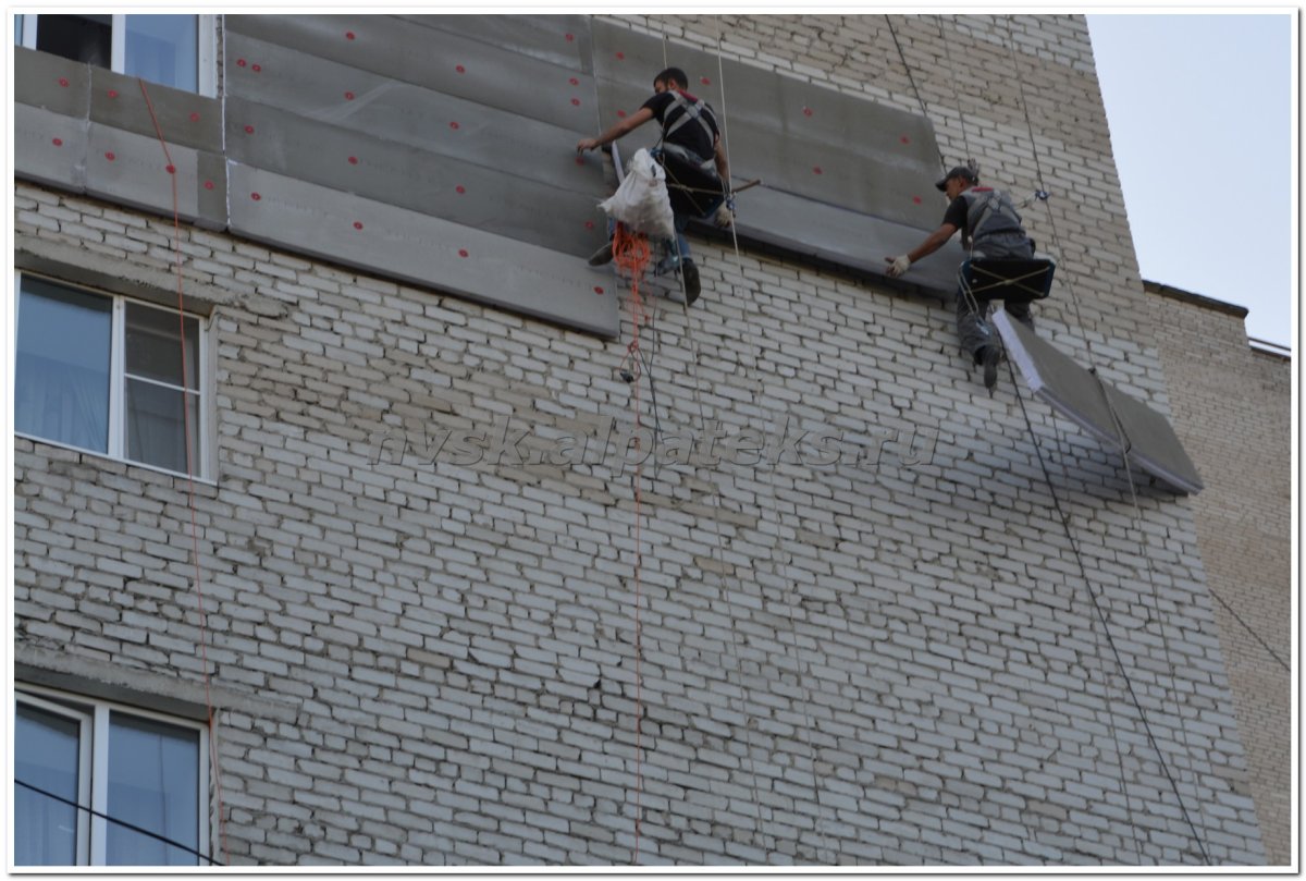 Термиты в доме в стене из глины