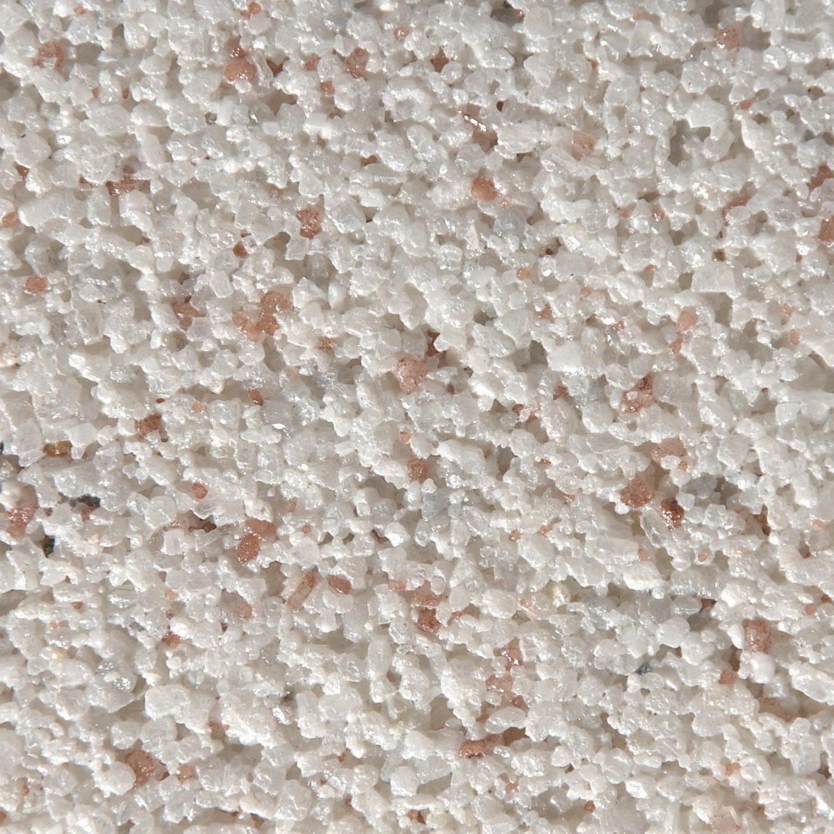 Короед камешковая штукатурка