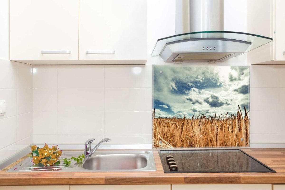 Защитный экран для кухни из стекла