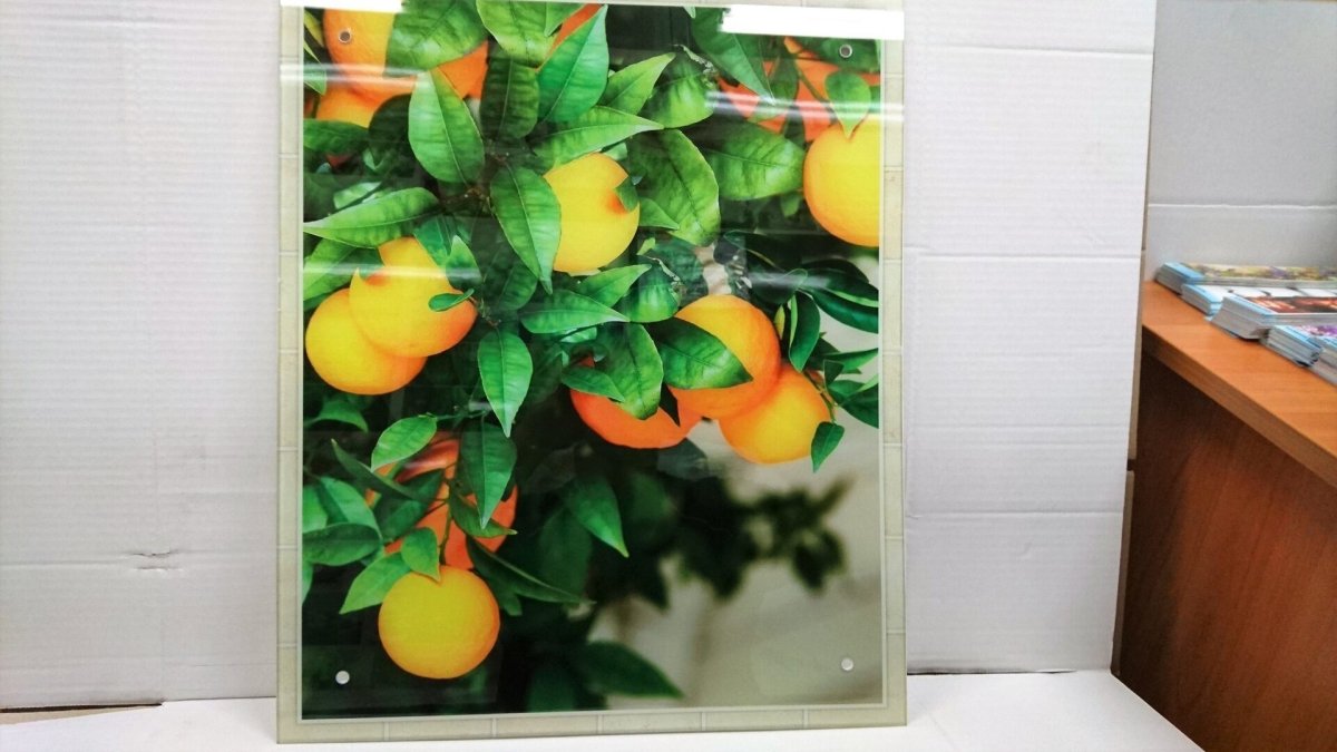 Защитный экран на плиту