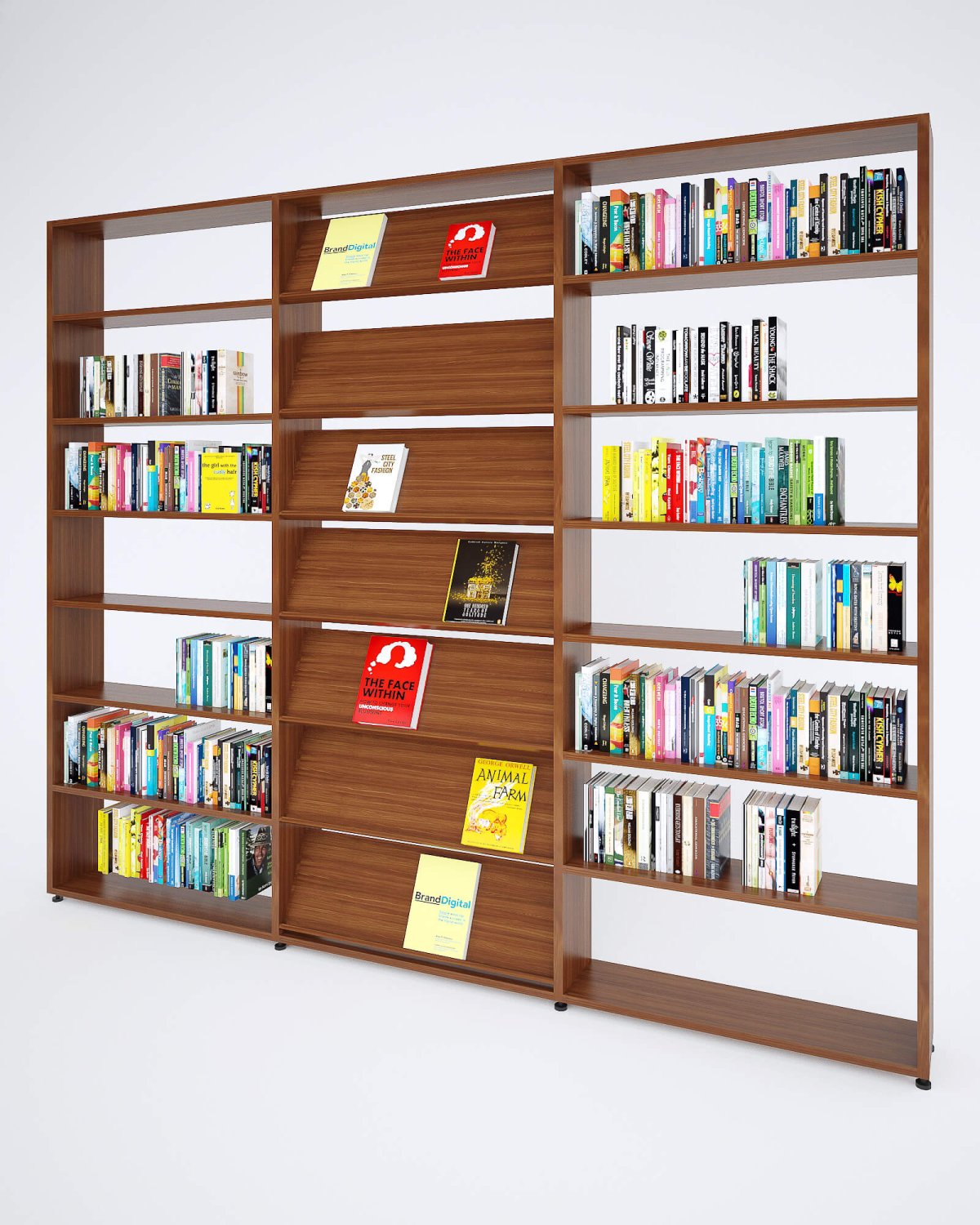 Книжный фонд библиотеки