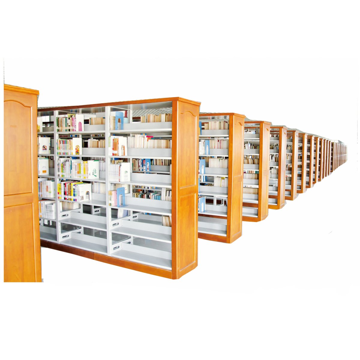 Книжный фонд библиотеки