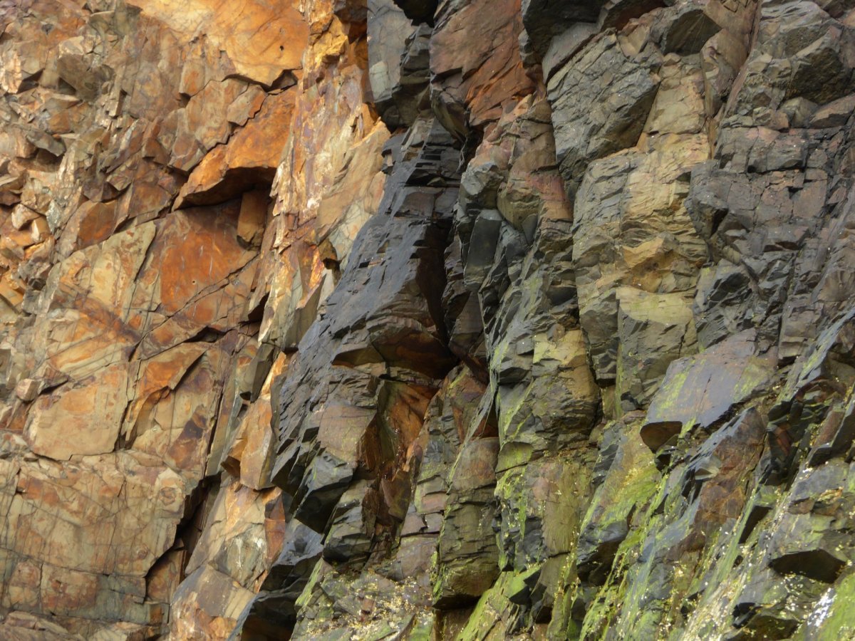 Белые декоративные стеновые панели