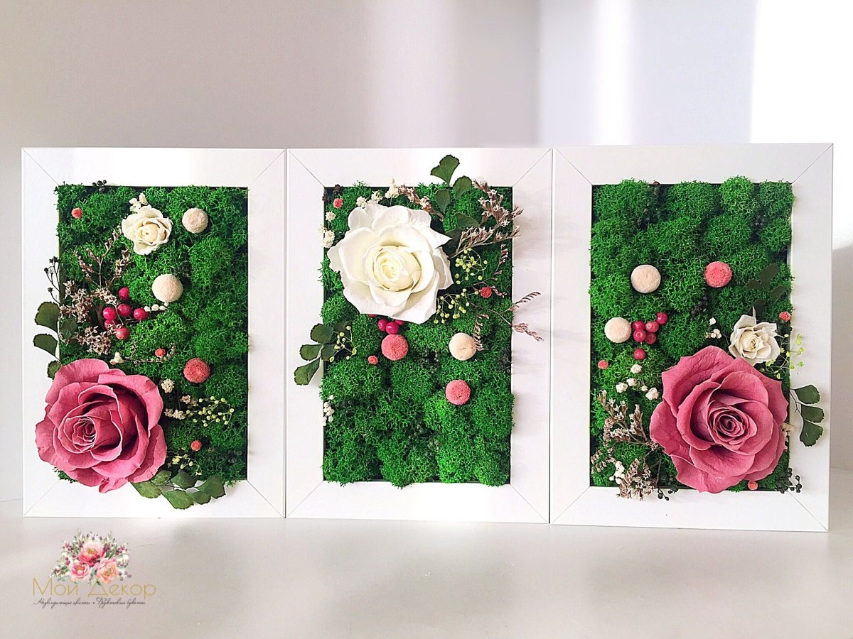 Картины из стабилизированных цветов