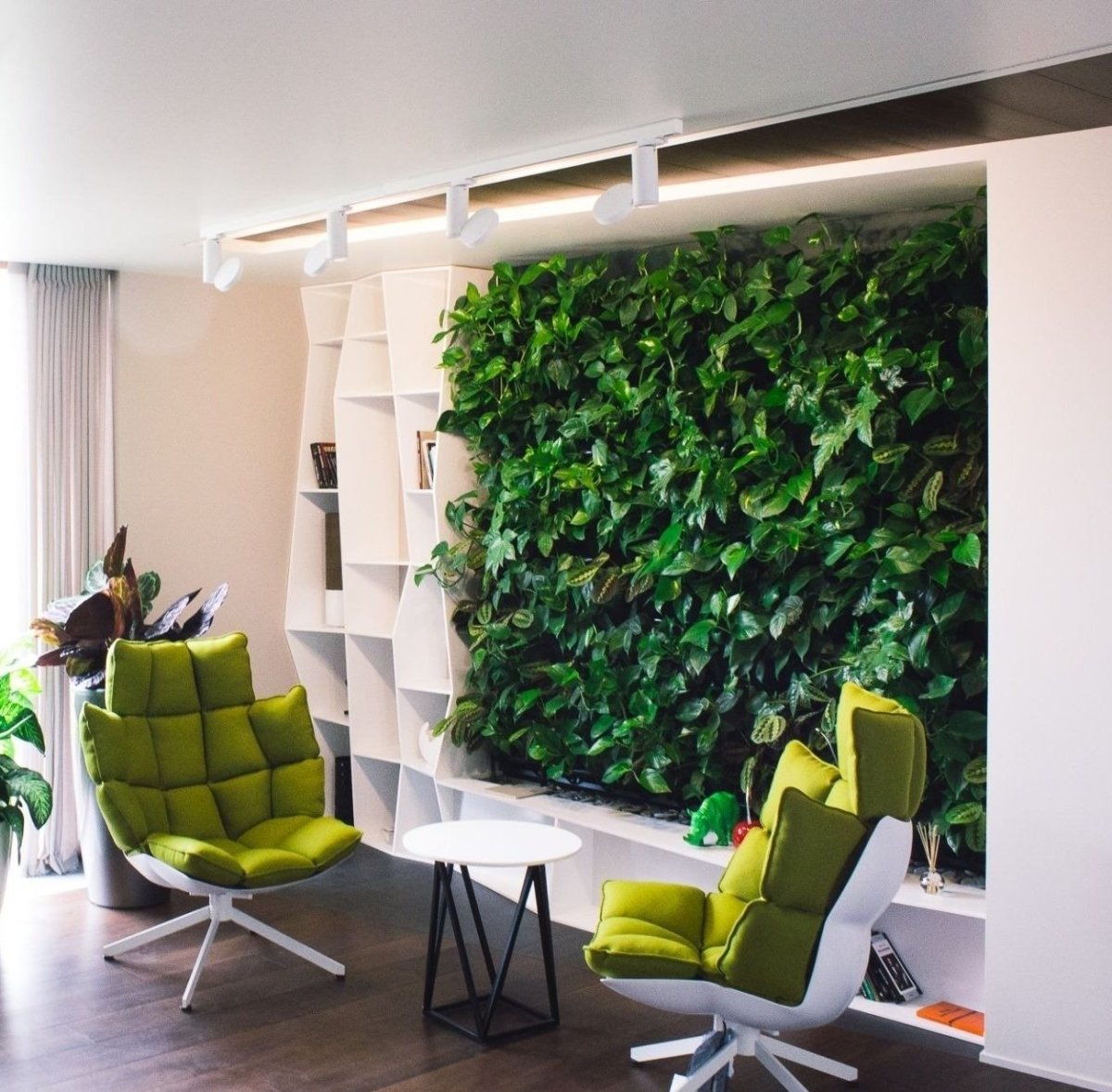 Фитостена джунгли