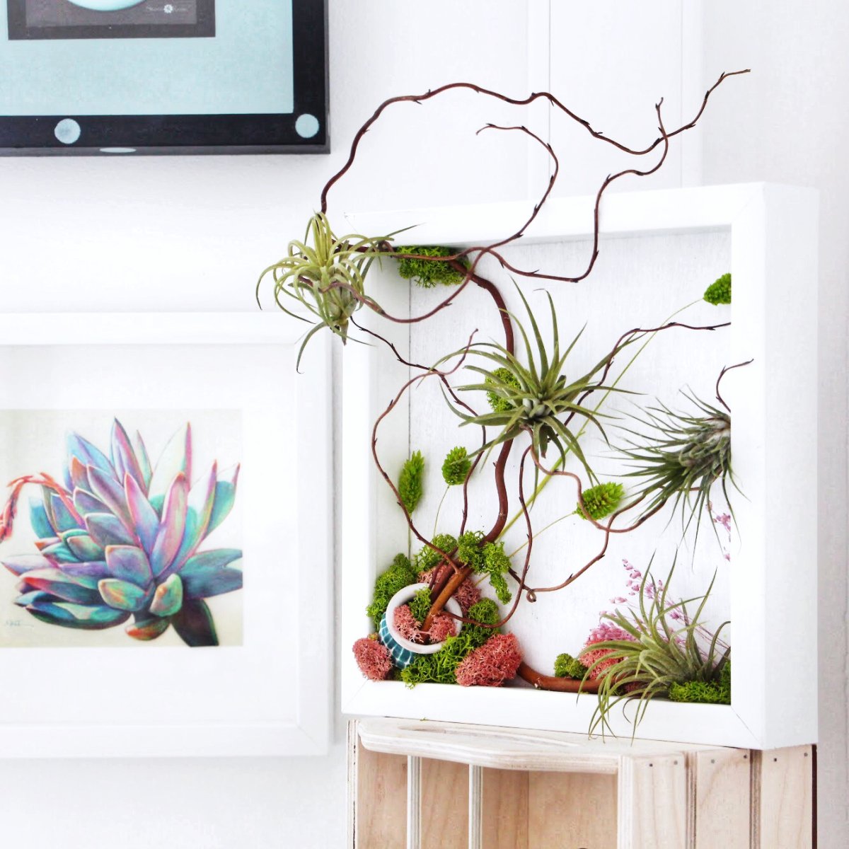 Фитопанели мох