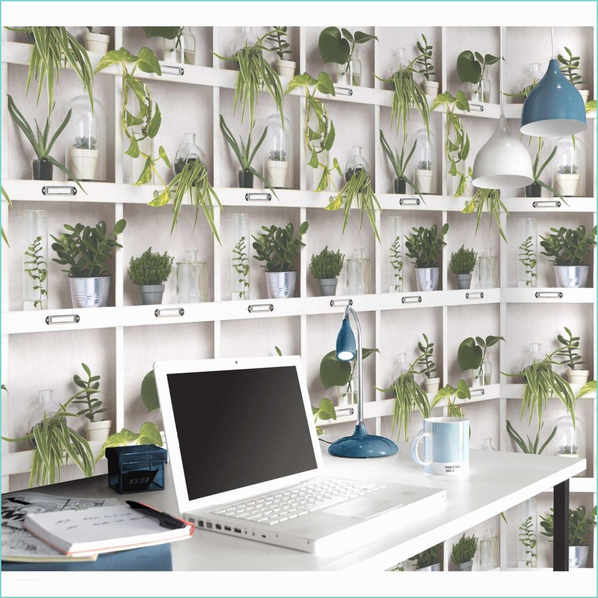 Настенные растения для дома Леруа Мерлен