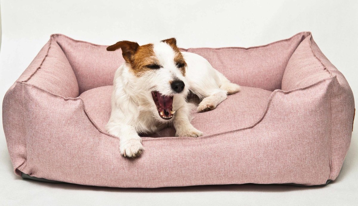 Дизайнерские домики для животных