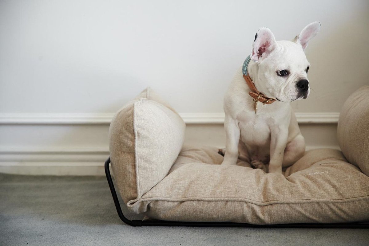 Диванчик для собаки