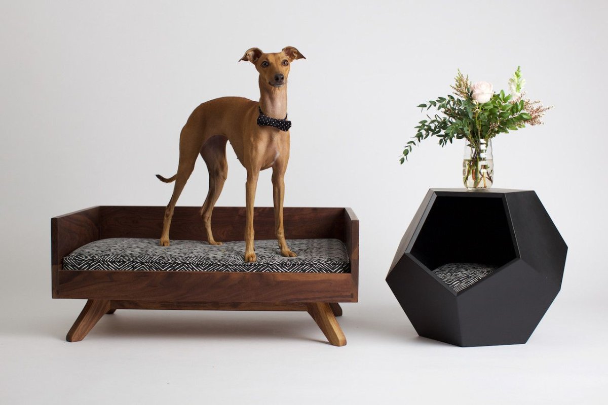 Дизайнерские лежанки для собак